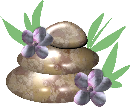 GALETS1.png