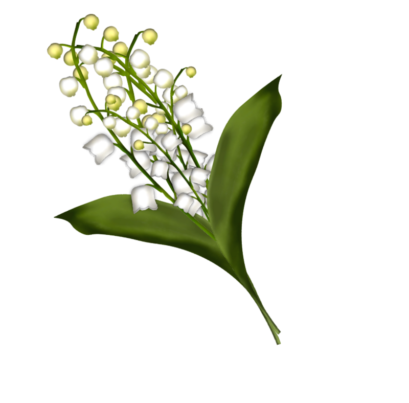 brin-de-muguet17a12.png