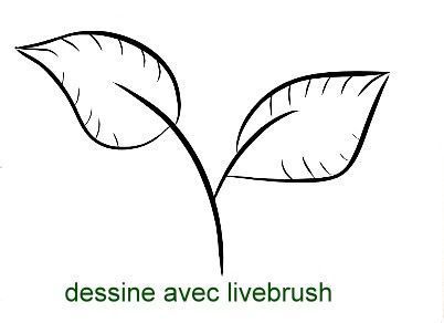 form-perso1.jpg