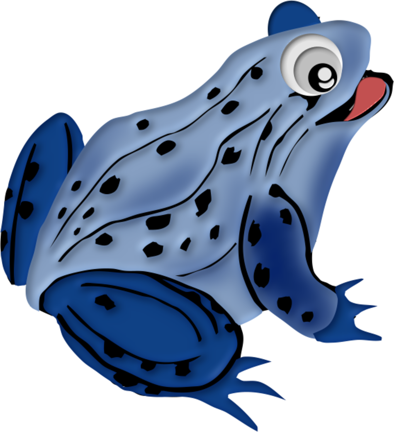 grenouille13m2.png